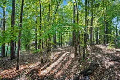 160 Brittany Lane, Senoia, GA 30276 - Photo 45