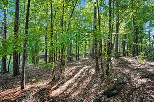 160 Brittany Ln, Senoia, GA 30276 - Photo 45