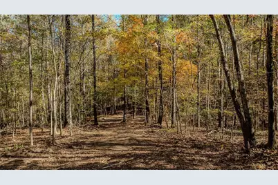 0 Jones Ferry Road, Chattahoochee Hills, GA 30268 - Photo 1