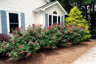 140 Crystal River Dr, Calhoun, GA 30701 - Photo 3