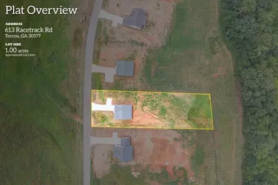 693 Racetrack Road, Toccoa, GA 30577 - Photo 3