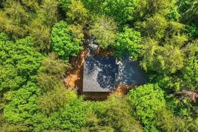328 Crabapple Drive, Blue Ridge, GA 30513 - Photo 63