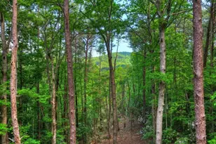 328 Crabapple Dr, Blue Ridge, GA 30513 - Photo 3