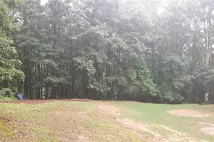 2532 Lois Ct, Loganville, GA 30052 - Photo 53