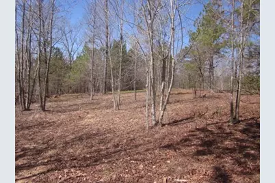 000 Hwy 136 -16.62 Acres W, Talking Rock, GA 30175 - Photo 25