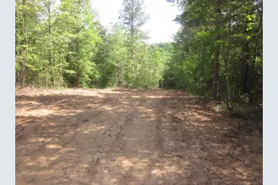 000 Hwy 136 -16.62 Acres W, Talking Rock, GA 30175 - Photo 39