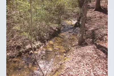 000 Hwy 136 -16.62 Acres W, Talking Rock, GA 30175 - Photo 17