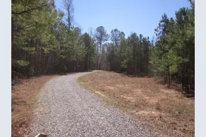000 Hwy 136 -16.62 Acres W, Talking Rock, GA 30175 - Photo 3