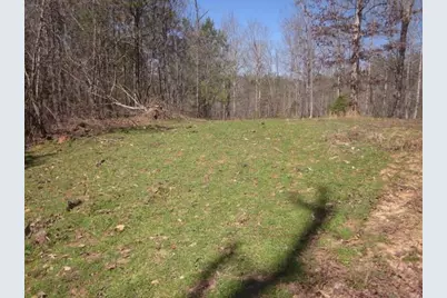 000 Hwy 136 -16.62 Acres W, Talking Rock, GA 30175 - Photo 27