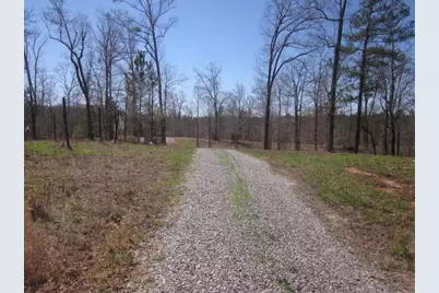 000 Hwy 136 -16.62 Acres W, Talking Rock, GA 30175 - Photo 11