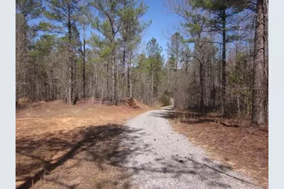 000 Hwy 136 -16.62 Acres W, Talking Rock, GA 30175 - Photo 5