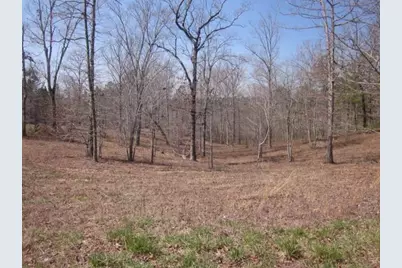000 Hwy 136 -16.62 Acres W, Talking Rock, GA 30175 - Photo 35