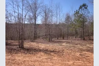 000 Hwy 136 -16.62 Acres W, Talking Rock, GA 30175 - Photo 21