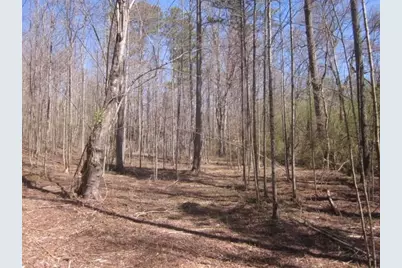 000 Hwy 136 -16.62 Acres W, Talking Rock, GA 30175 - Photo 13