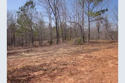 000 Hwy 136 -16.62 Acres W, Talking Rock, GA 30175 - Photo 33