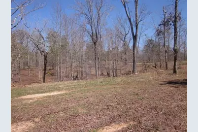 000 Hwy 136 -16.62 Acres W, Talking Rock, GA 30175 - Photo 29