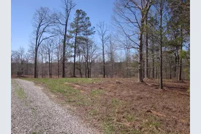 000 Hwy 136 -16.62 Acres W, Talking Rock, GA 30175 - Photo 9