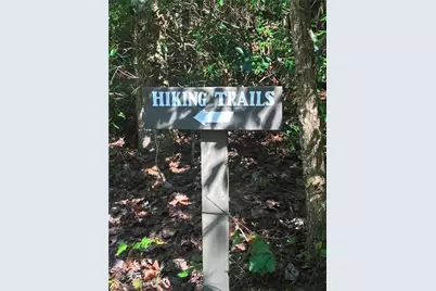 236 Chestnut Rise Trail #477, Big Canoe, GA 30143 - Photo 69