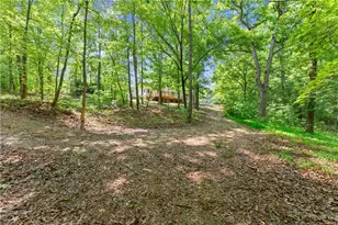 3501 Looper Lake Rd, Gainesville, GA 30506 - Photo 35
