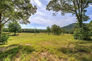 1084 Shahan Ln, La Fayette, GA 30728 - Photo 49