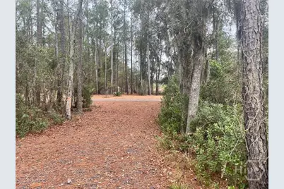 Tract3 S Newport Drive NE, Townsend, GA 31331 - Photo 155