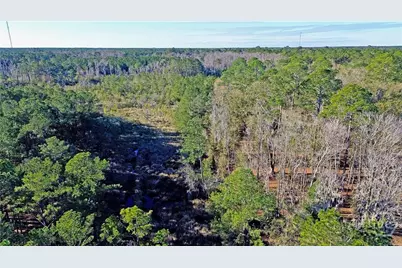 Tract3 S Newport Drive NE, Townsend, GA 31331 - Photo 107