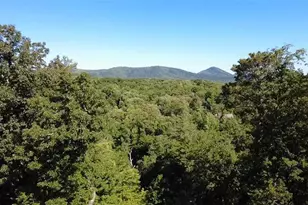 348 S Woods Ct, Jasper, GA 30143 - Photo 11