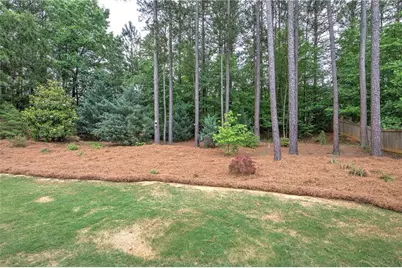 993 Double Branches Lane, Dallas, GA 30132 - Photo 43