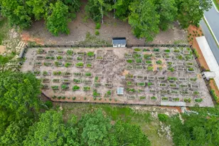 295 Conway Trl, Hoschton, GA 30548 - Photo 47
