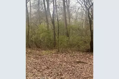 0 Jack Pittman Rd, Dacula, GA 30019 - Photo 11