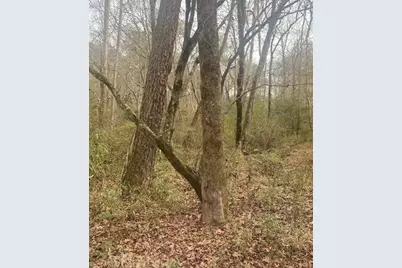 0 Jack Pittman Rd, Dacula, GA 30019 - Photo 7