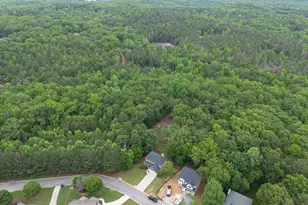 305 Birchwood Farms Ln, Dallas, GA 30132 - Photo 43