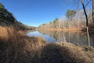 305 Birchwood Farms Ln, Dallas, GA 30132 - Photo 51