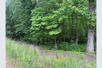 Lot 7D Meadow View Lane, Cleveland, GA 30528 - Photo 5