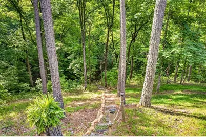 285 Julep Circle, Ellijay, GA 30540 - Photo 45