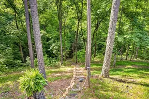 285 Julep Cir, Ellijay, GA 30540 - Photo 45