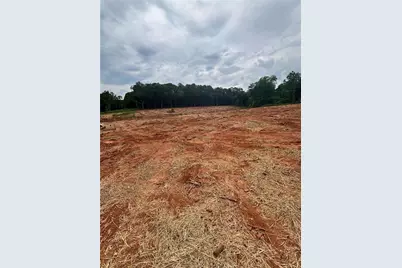 0 West Avenue, Lavonia, GA 30553 - Photo 5