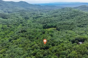 58 Peach Ln, Ellijay, GA 30536 - Photo 37