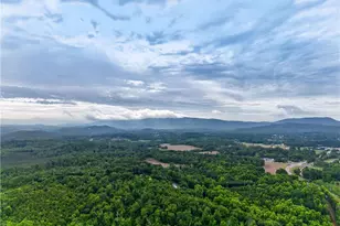 4399 Hwy 411 NE, Rydal, GA 30171 - Photo 33