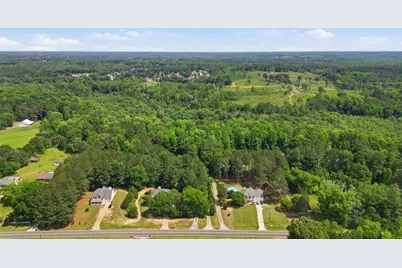1231 Hillview Road, Hampton, GA 30228 - Photo 47