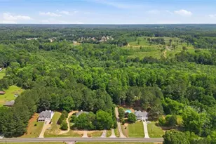 1231 Hillview Rd, Hampton, GA 30228 - Photo 47
