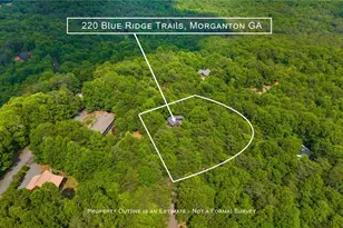 220 Blue Ridge Trails, Morganton, GA 30560 - Photo 59