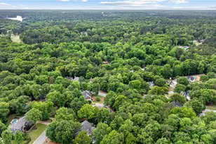 133 Windalier Ridge, Peachtree City, GA 30269 - Photo 91