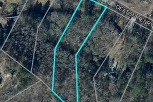 6990 Deaton Henry Rd, Flowery Branch, GA 30542 - Photo 13