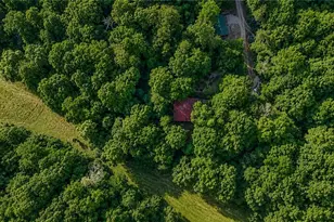 1564 Rackley Rd, Ellijay, GA 30536 - Photo 59