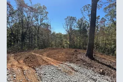 3.71 Yancy Drive, Dawsonville, GA 30534 - Photo 3
