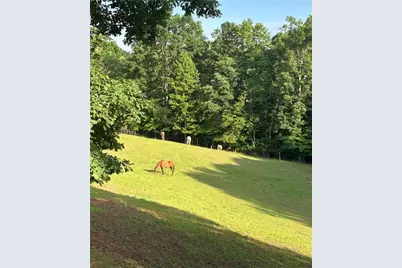 149 Ratcliff Drive, Dawsonville, GA 30534 - Photo 5