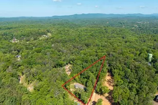 303 Rose Wood Ln, Ellijay, GA 30540 - Photo 37