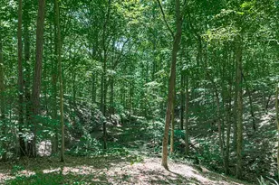 397 Thomas Rd, Dallas, GA 30132 - Photo 107