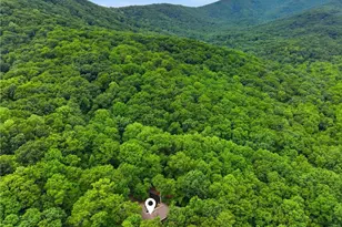 4154 Wilderness Pkwy, Big Canoe, GA 30143 - Photo 51